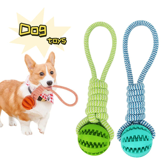 Dog Toys Balls Interactive